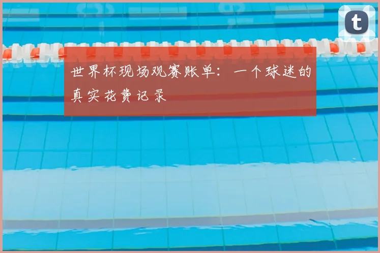 世界杯现场观赛账单：一个球迷的真实花费记录