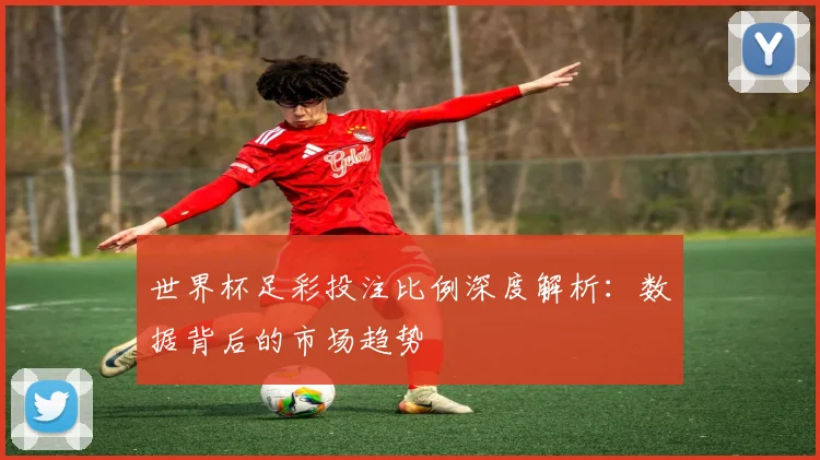 世界杯足彩投注比例深度解析:数据背后的市场趋势