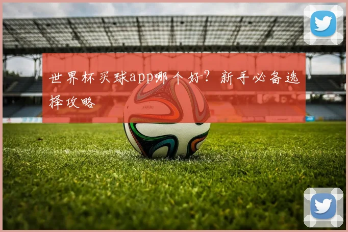 世界杯买球app哪个好?新手必备选择攻略