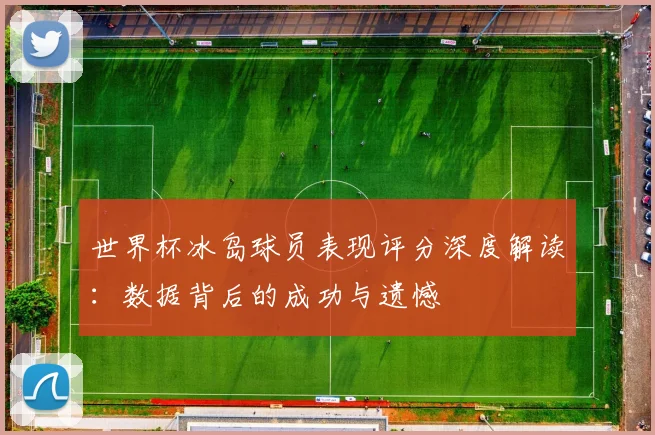 世界杯冰岛球员表现评分深度解读：数据背后的成功与遗憾