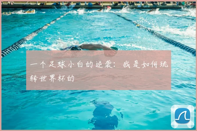 一个足球小白的逆袭:我是如何玩转世界杯的