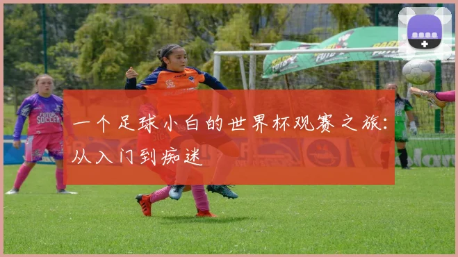一个足球小白的世界杯观赛之旅:从入门到痴迷