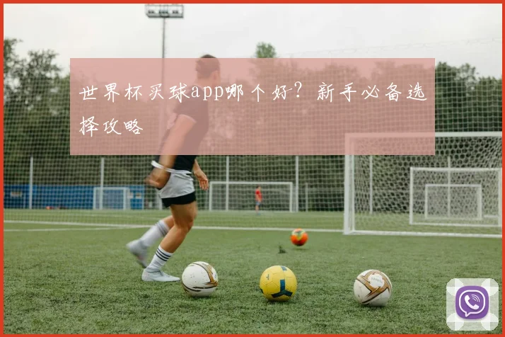 世界杯买球app哪个好?新手必备选择攻略