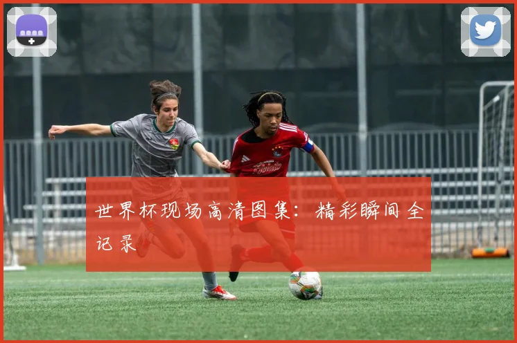 世界杯现场高清图集：精彩瞬间全记录