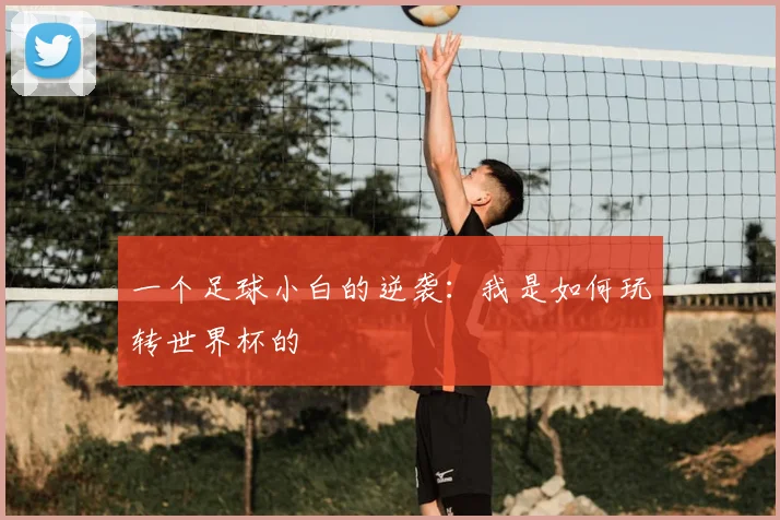 一个足球小白的逆袭:我是如何玩转世界杯的